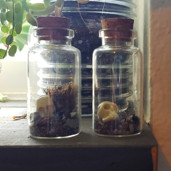 Halloween Mini *Skull* Terrarium (25 ml) - Picture 3 of 4